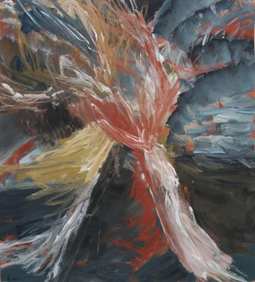 Oiseau Etoile 2024/08